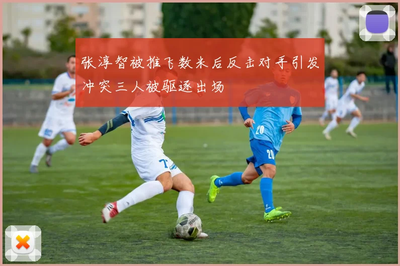 张淳智被推飞数米后反击对手引发冲突三人被驱逐出场